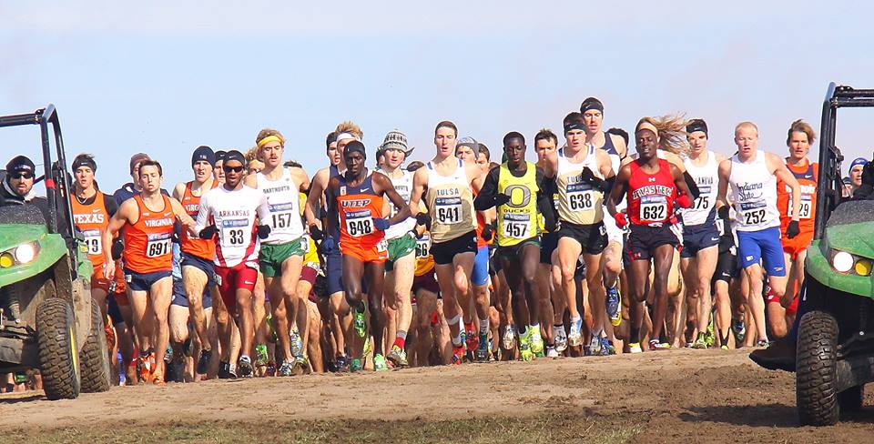 Five Things We Learned in NCAA Cross Country (Plus One Open Question)